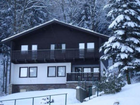 Cozy Chalet in Dolní Brusnice with Swimming Pool, Bílá Třemešná